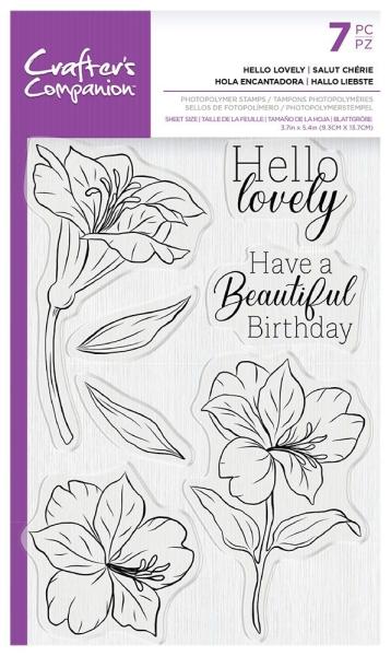 Crafters Companion - Hello Lovely - Clear Stamps