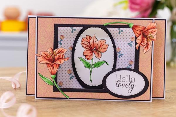 Crafters Companion - Hello Lovely - Clear Stamps