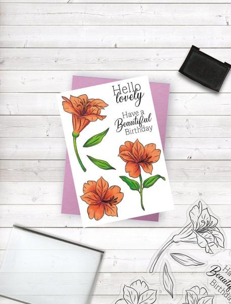 Crafters Companion - Hello Lovely - Clear Stamps