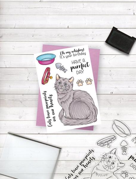 Crafters Companion - A Purrfect Day - Clear Stamps
