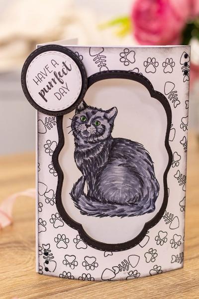 Crafters Companion - A Purrfect Day - Clear Stamps