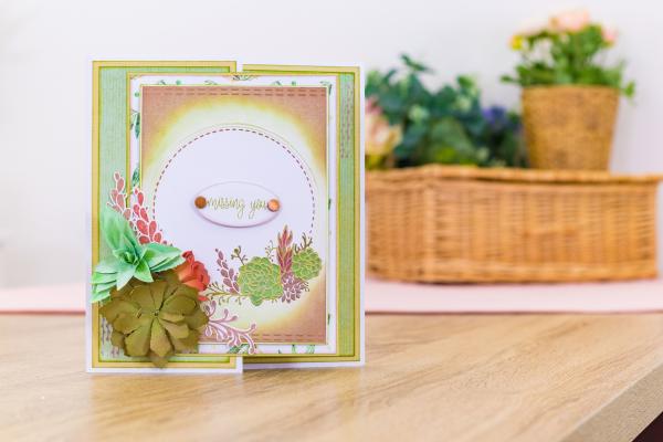 Crafters Companion - Sensational Succulents - Succulent Greetings - Clear Stamps