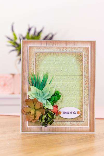 Crafters Companion - Sensational Succulents - Succulent Textures - Clear Stamps
