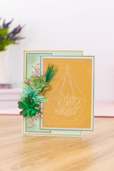 Crafters Companion -Sensational Succulents - Terrarium - Prägefolder
