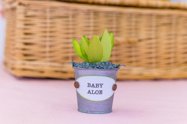 Crafters Companion - Sensational Succulents Metal Dies Baby Aloe  - Stanze
