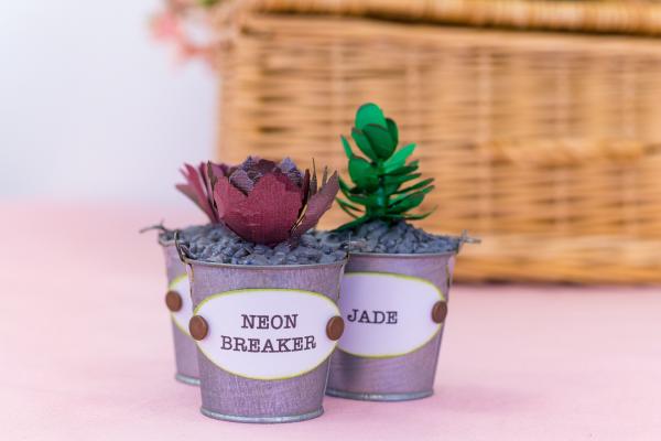 Crafters Companion - Sensational Succulents Metal Dies Jade  - Stanze
