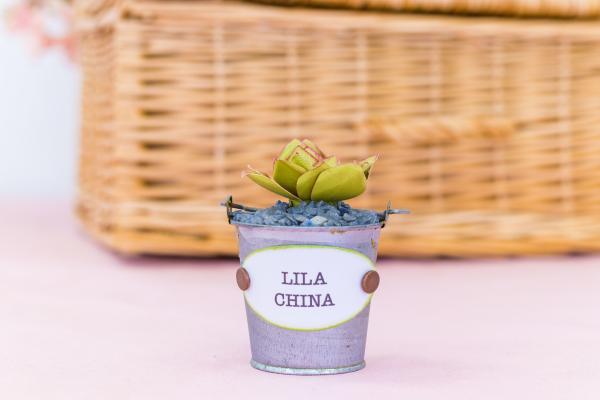Crafters Companion - Sensational Succulents Metal Dies Lila China  - Stanze
