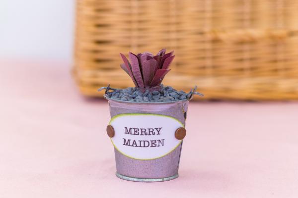 Crafters Companion - Sensational Succulents Metal Dies Merry Maiden  - Stanze