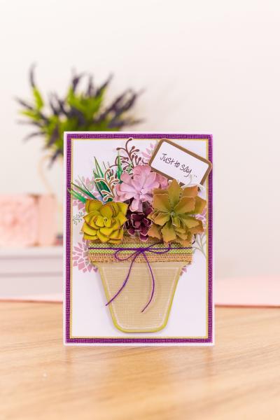Crafters Companion - Sensational Succulents Metal Dies Plant Pot  - Stanze