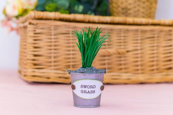 Crafters Companion - Sensational Succulents Metal Dies Sword Grass - Stanze