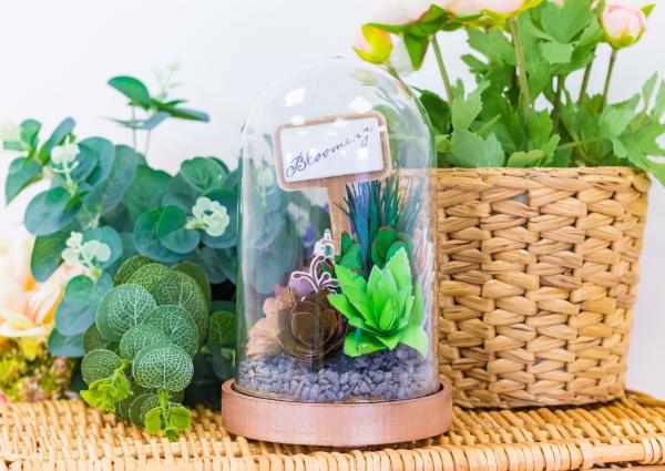 Crafters Companion - Sensational Succulents Metal Dies Sword Grass - Stanze