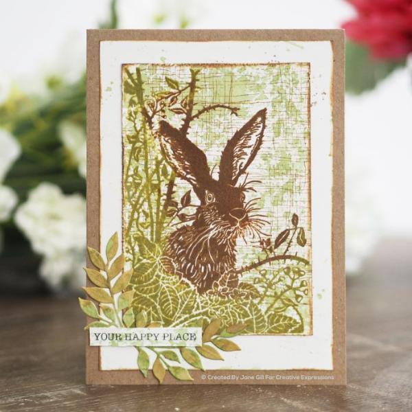 Woodware Texture Extras Clear Stamps - Stempel 