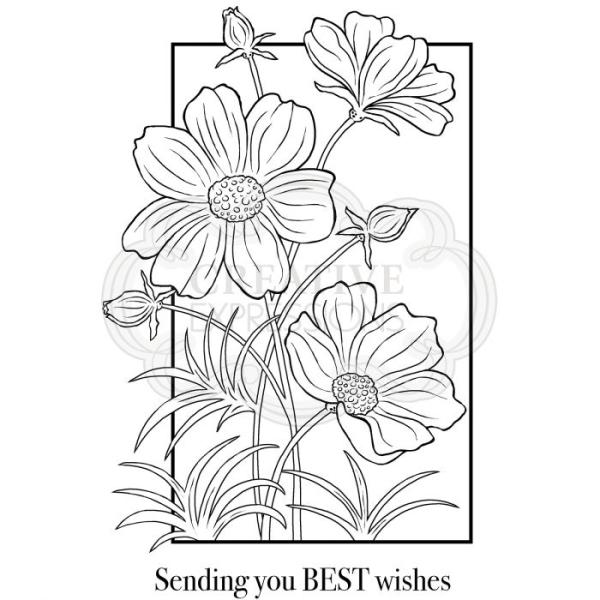 Woodware Set Cosmos Collection  Clear Stamps - Stempel 