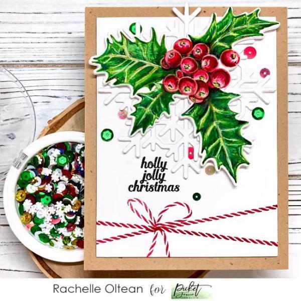 Picket Fence Studios A Snowy Season Sequin Mix  Pailetten