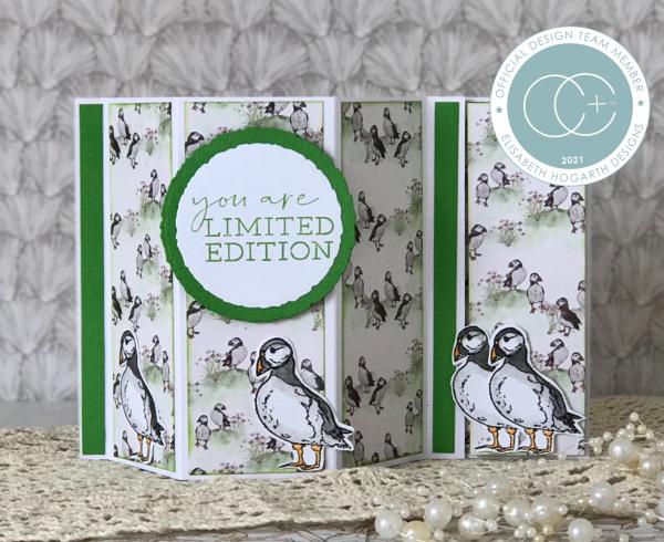 Craft Consortium Sea & Shore Shore Clear Stamps 