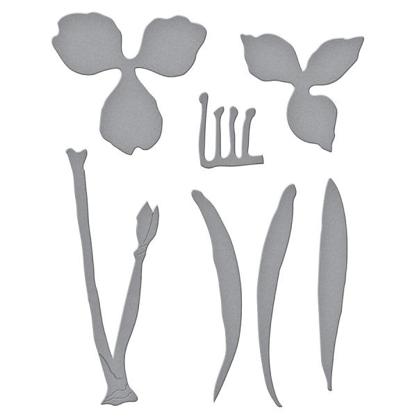 Spellbinders Die "Amaryllis Etched" Stanzschablone