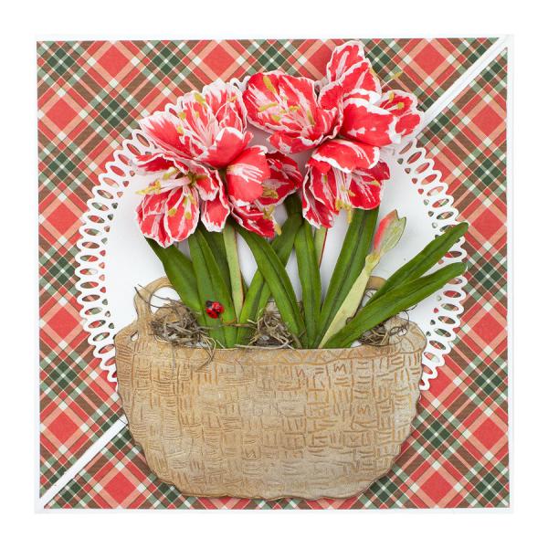 Spellbinders Die "Amaryllis Etched" Stanzschablone