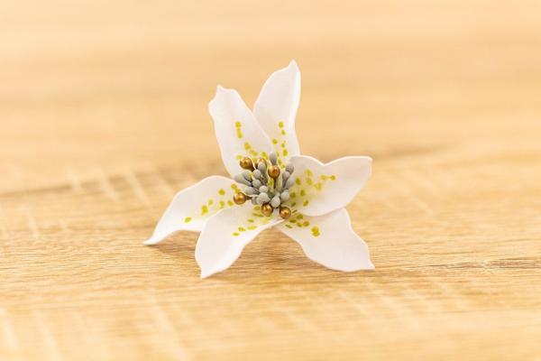 Crafters Companion - Flower Forming Foam Natural White