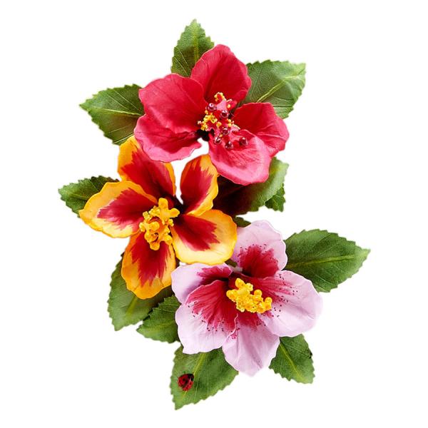Spellbinders Die "Hibiscus Etched" Stanzschablone