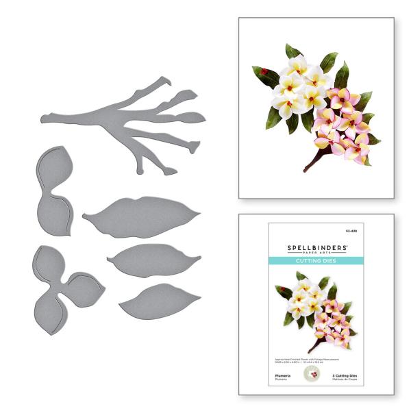 Spellbinders Die "Plumeria Etched" Stanzschablone