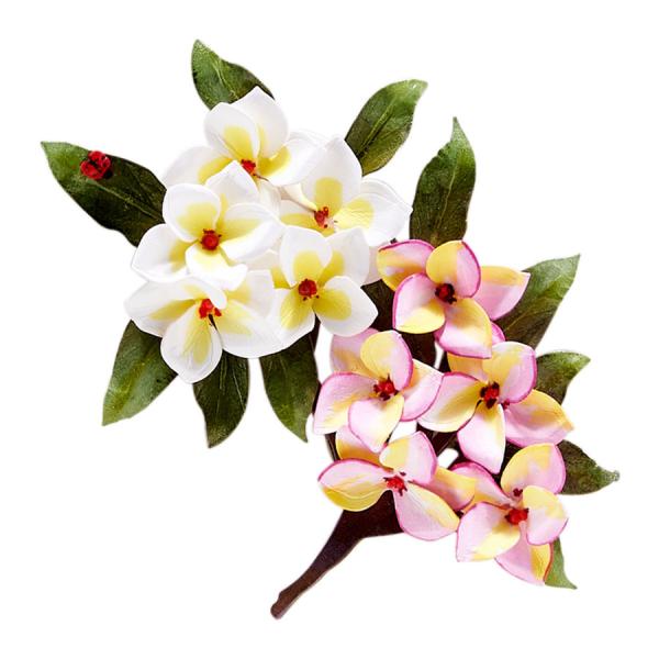 Spellbinders Die "Plumeria Etched" Stanzschablone