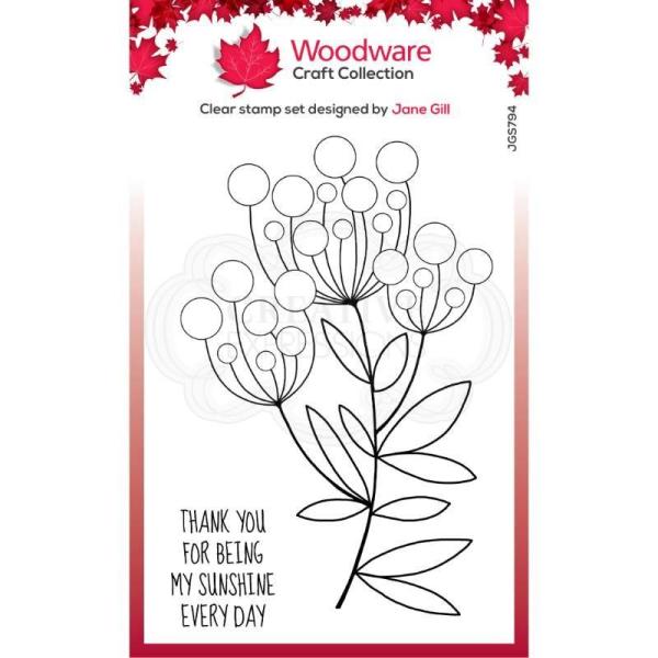 Woodware Bubble Bloom Trinny   Clear Stamps - Stempel 