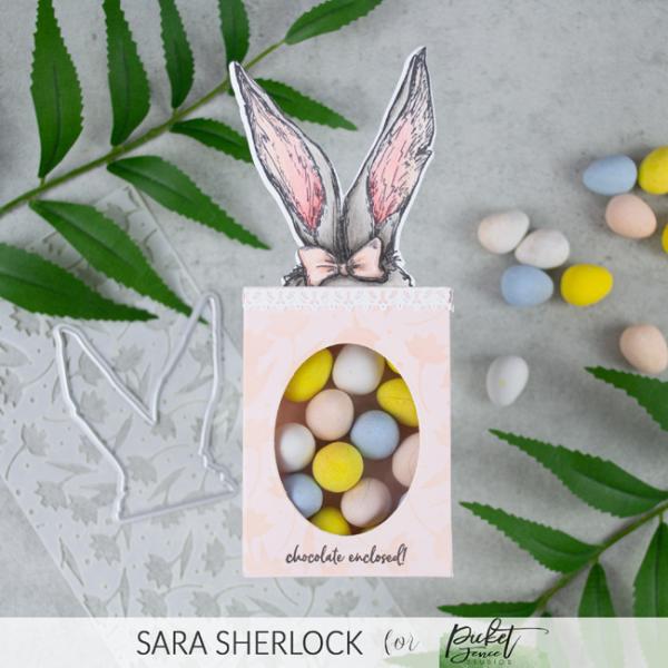Picket Fence Studios Hoppin' Down the Bunny Trail 4x4 Inch Clear Stamps