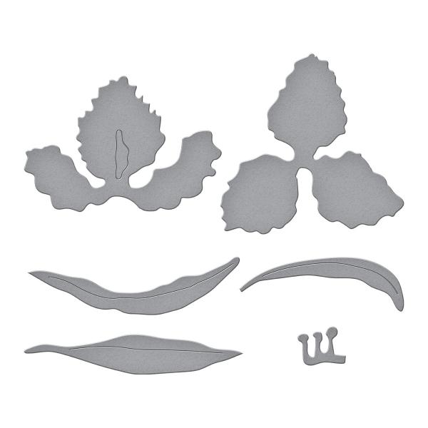 Spellbinders Die "Bearded Iris Etched" Stanzschablone