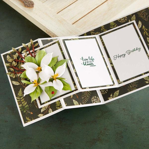 Spellbinders Die "Trillium " Stanzschablone