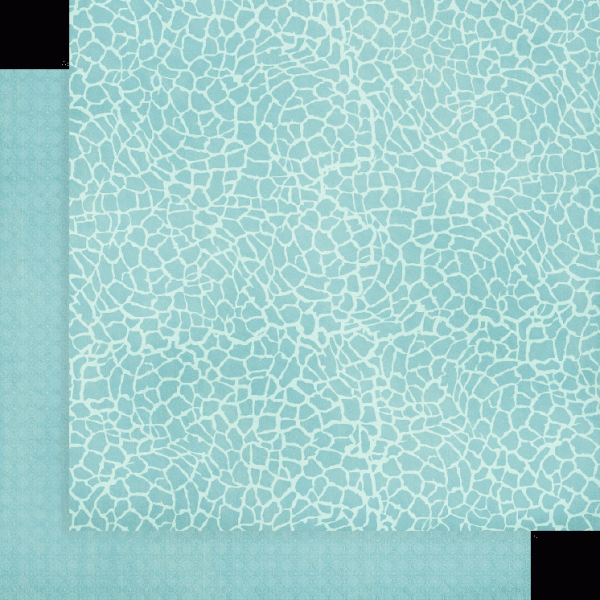 Graphic 45 "Wild & Free" 12x12" Patterns & Solid Pad