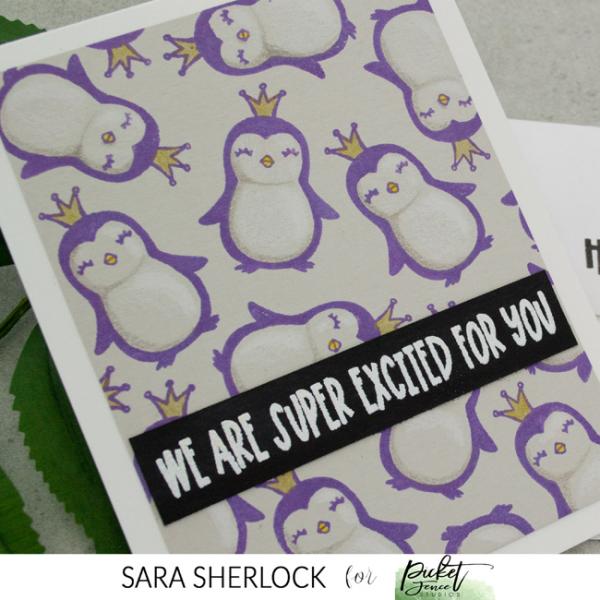Picket Fence Studios Penguins Wanna Have Fun  Clear Stamps 