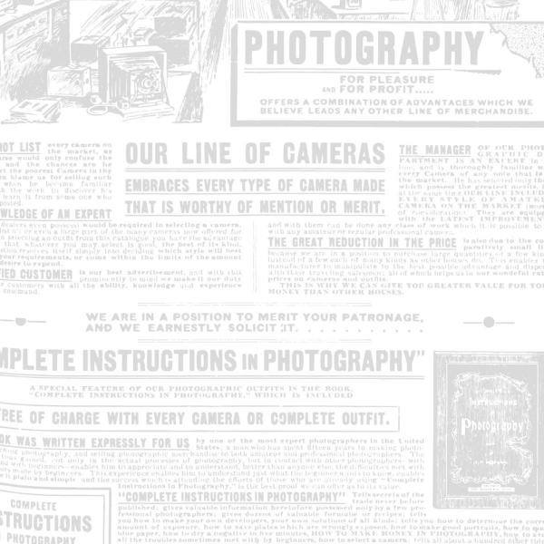 Studio Light - Write Your Story Vellum Sheets Letter, Newspaper - Transparentpapier