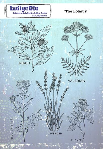 IndigoBlu "The Botanist" A5 Rubber Stamp