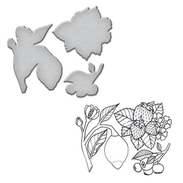 Spellbinders Stempel & Stanzset "Lemon Stamp And Die Set"