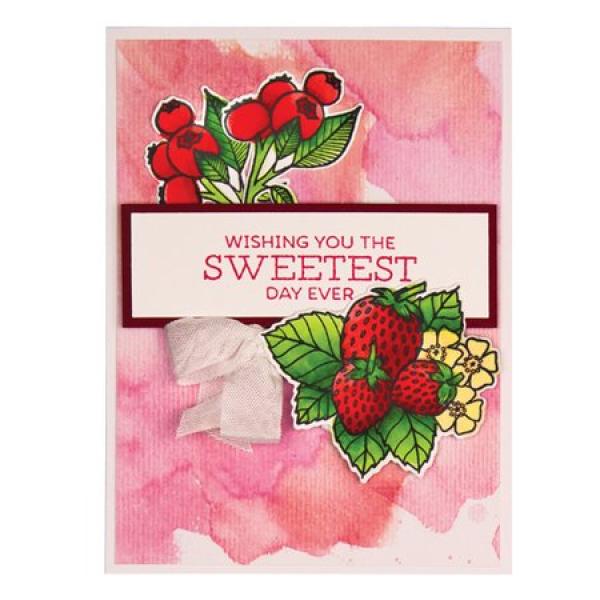 Spellbinders Stempel & Stanzset "Lemon Stamp And Die Set"