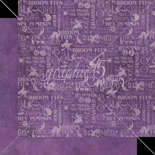 Graphic 45 "Charmed" 12x12" Patterns & Solid Pad