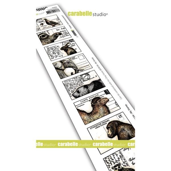 Carabelle Studio - Cling Stamp Art - animal postcard - Stempel