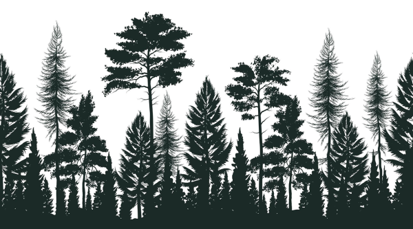Creative Expressions - Rubber Stamp -  Evergreen Horizon - Gummistempel