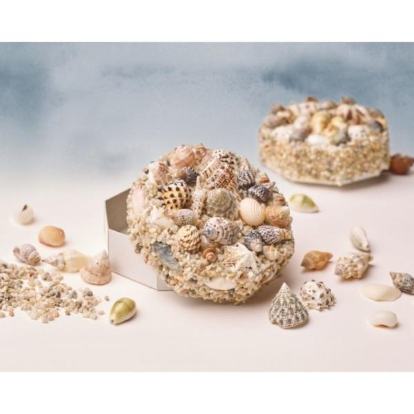 House of Crafts - Mosaic Shell Kit - "Start a Craft"  - Bastelkit - Kit