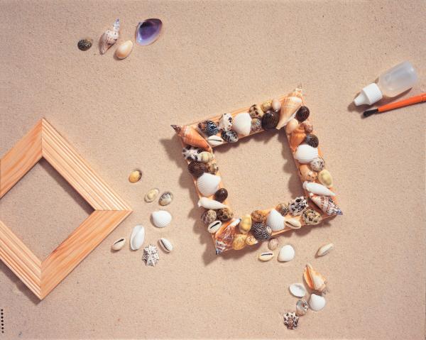 House of Crafts - Craft Mini Kit  - Shell - Bastelkit 
