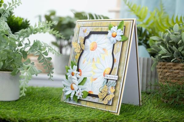 Crafters Companion - Designpapier "Delightful Daisies" Paper Pack 12x12 Inch - 36 Bogen