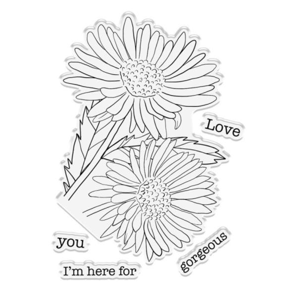 Crafters Companion - Stempel & Stanzschablone "Daisy Bloom " Stamp & Dies