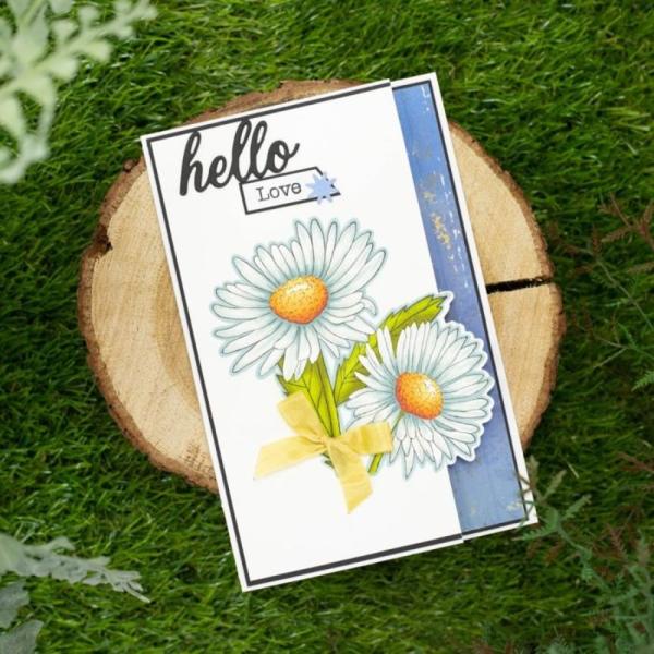 Crafters Companion - Stempel & Stanzschablone "Daisy Bloom " Stamp & Dies