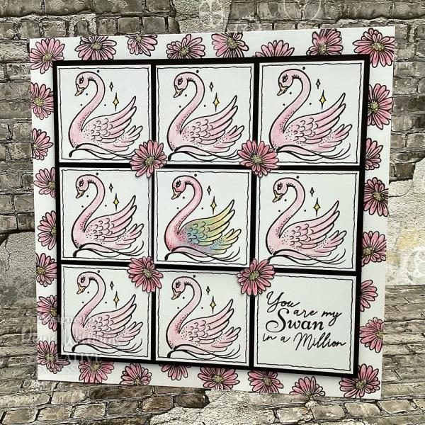 Creative Expressions - Stempelset A6 "Swan In A Million" Clear Stamps
