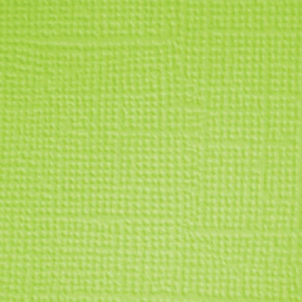 Doodlebug Design - Textured Cardstock "Doggone Cute" Solid Paper Pack 12x12 Inch - 12 Bogen