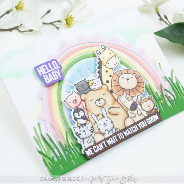 Picket Fence Studios - Stanzschablone "Another Rainbow for all Seasons" Dies 5,4x2,69 Inch