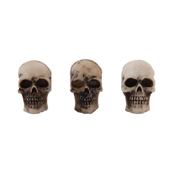 Tim Holtz - Idea Ology - Resin Totenköpfe "Skulls + Bones"