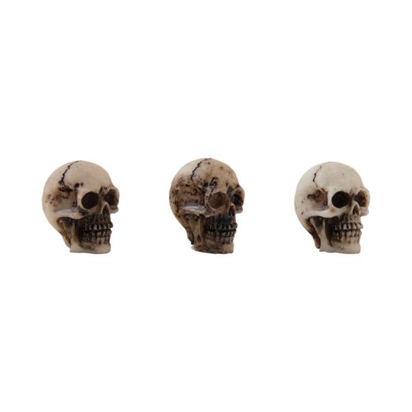 Tim Holtz - Idea Ology - Resin Totenköpfe "Skulls + Bones"
