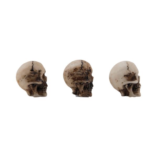 Tim Holtz - Idea Ology - Resin Totenköpfe "Skulls + Bones"