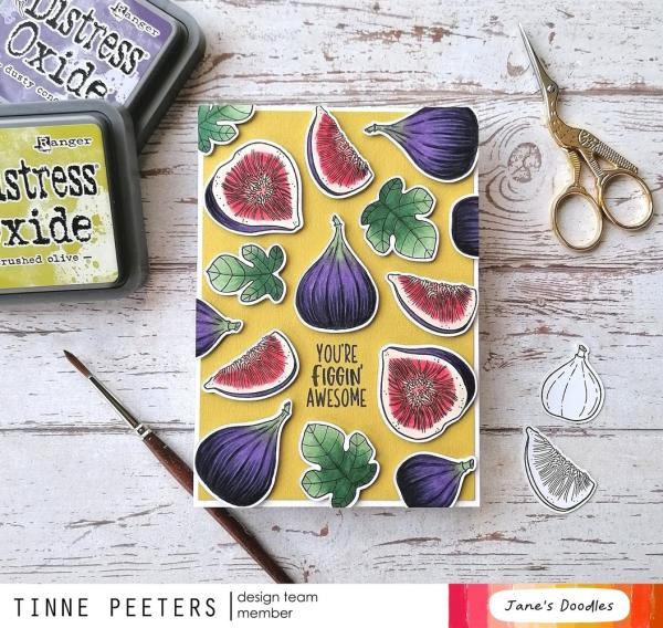 Creative Expressions - Stempelset "What the Fig" Clear Stamps 4x6 Inch Design by Jane's Doodles